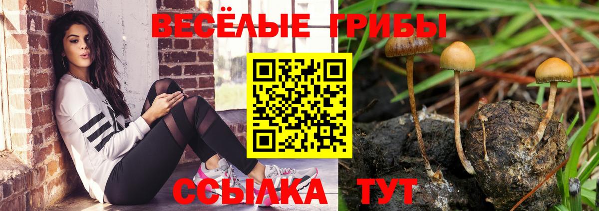 Галлюциногенные грибы ЛСД  Вход с VPN  Бирск  Псилоцибиновые грибы прущие грибы 